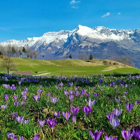 公寓 Apartma Vista Montana *