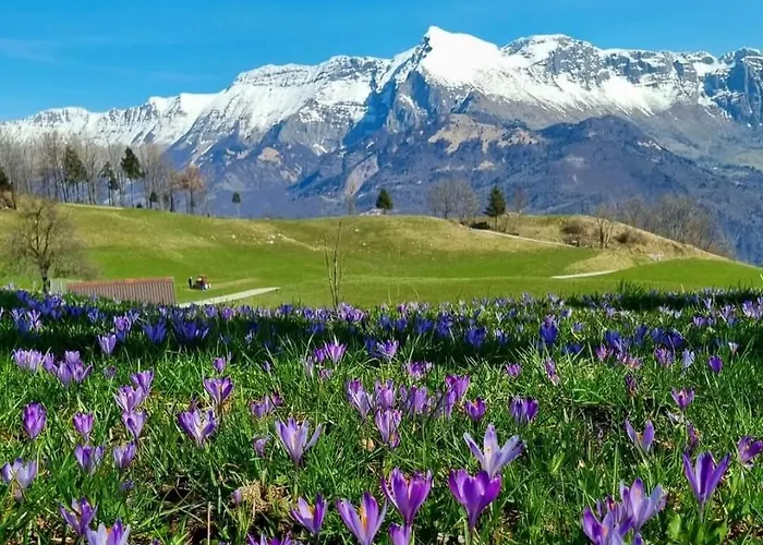 Apartmán Apartma Vista Montana *